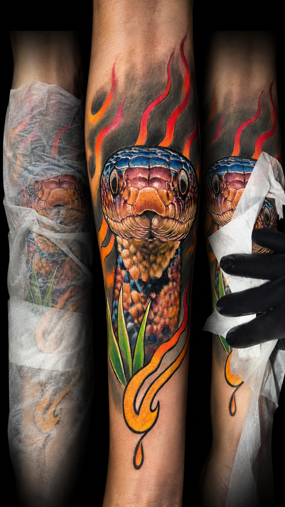 Serpente