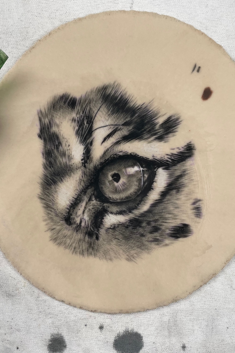Tatuagem detalhada no braço