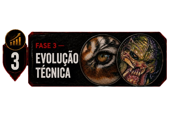 Fase 3 — Evolução técnica
