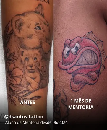 Evolução do aluno 1