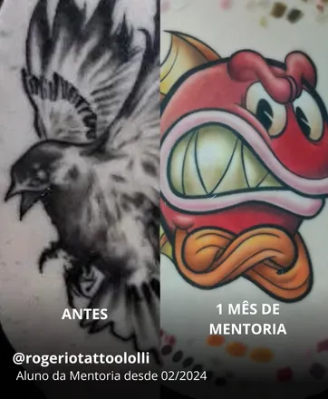 Evolução do aluno 2